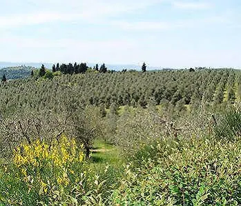 Torre Di Ponzano Guest House Barberino Val d'Elsa Italy